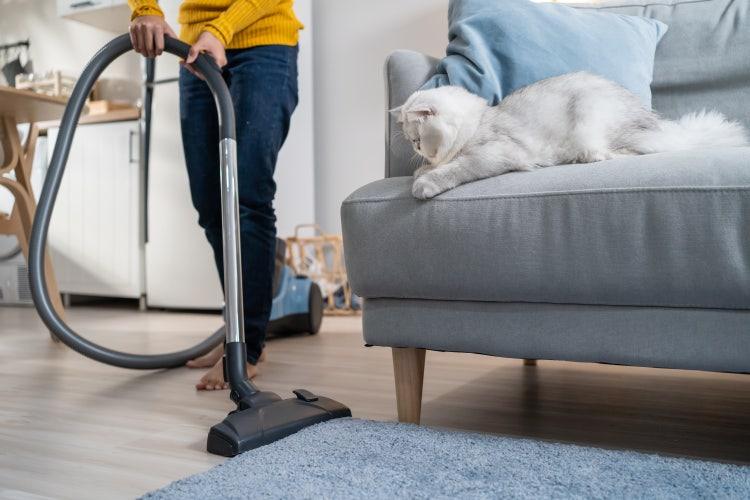 تمیز نگه داشتن اتاق نشیمن